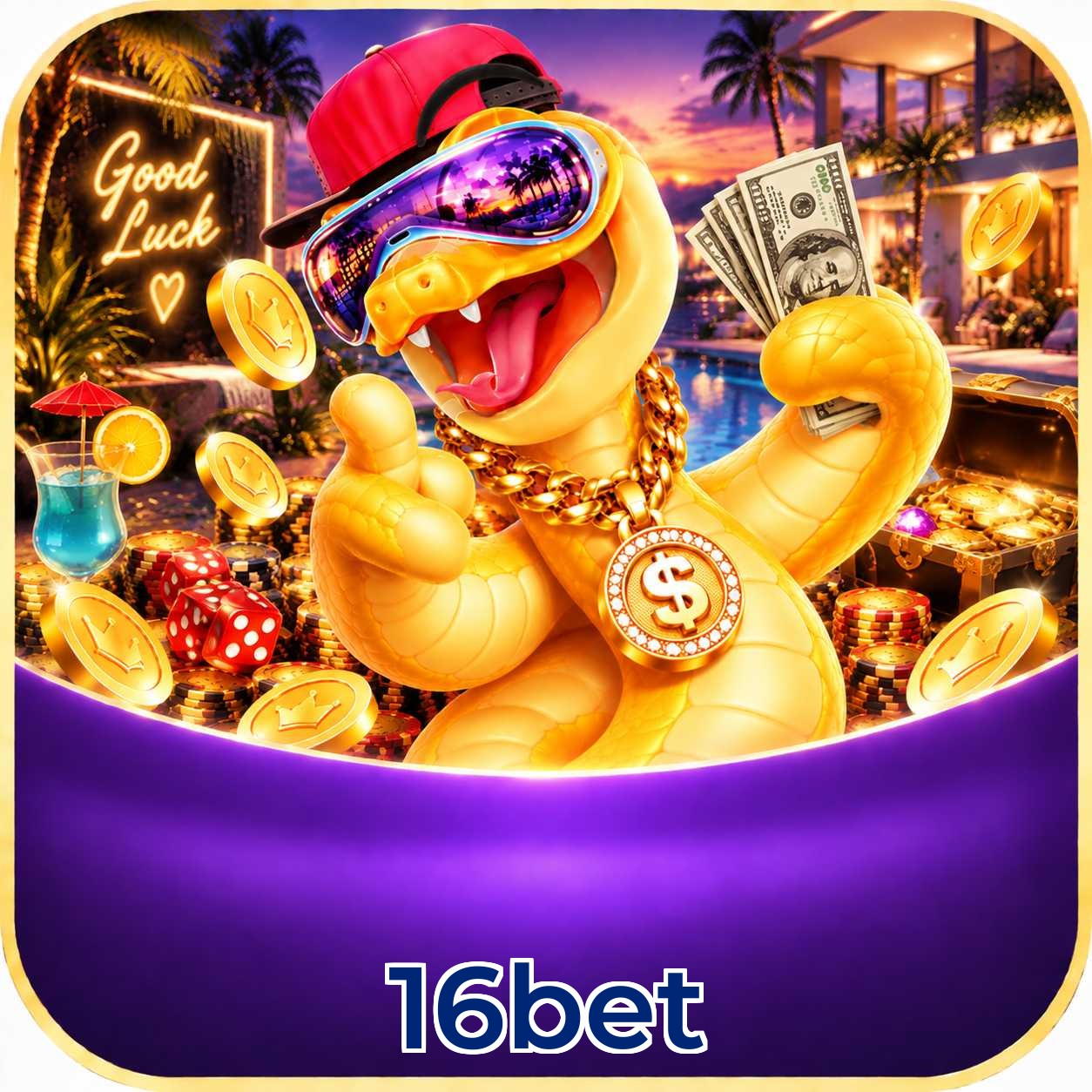 16bet Login FAQ