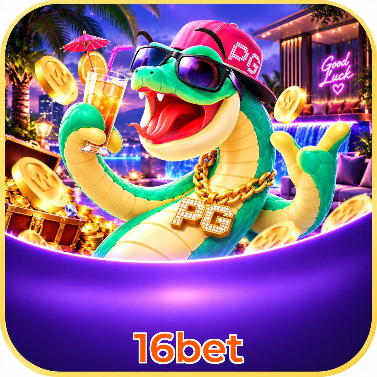 16bet App vs Web