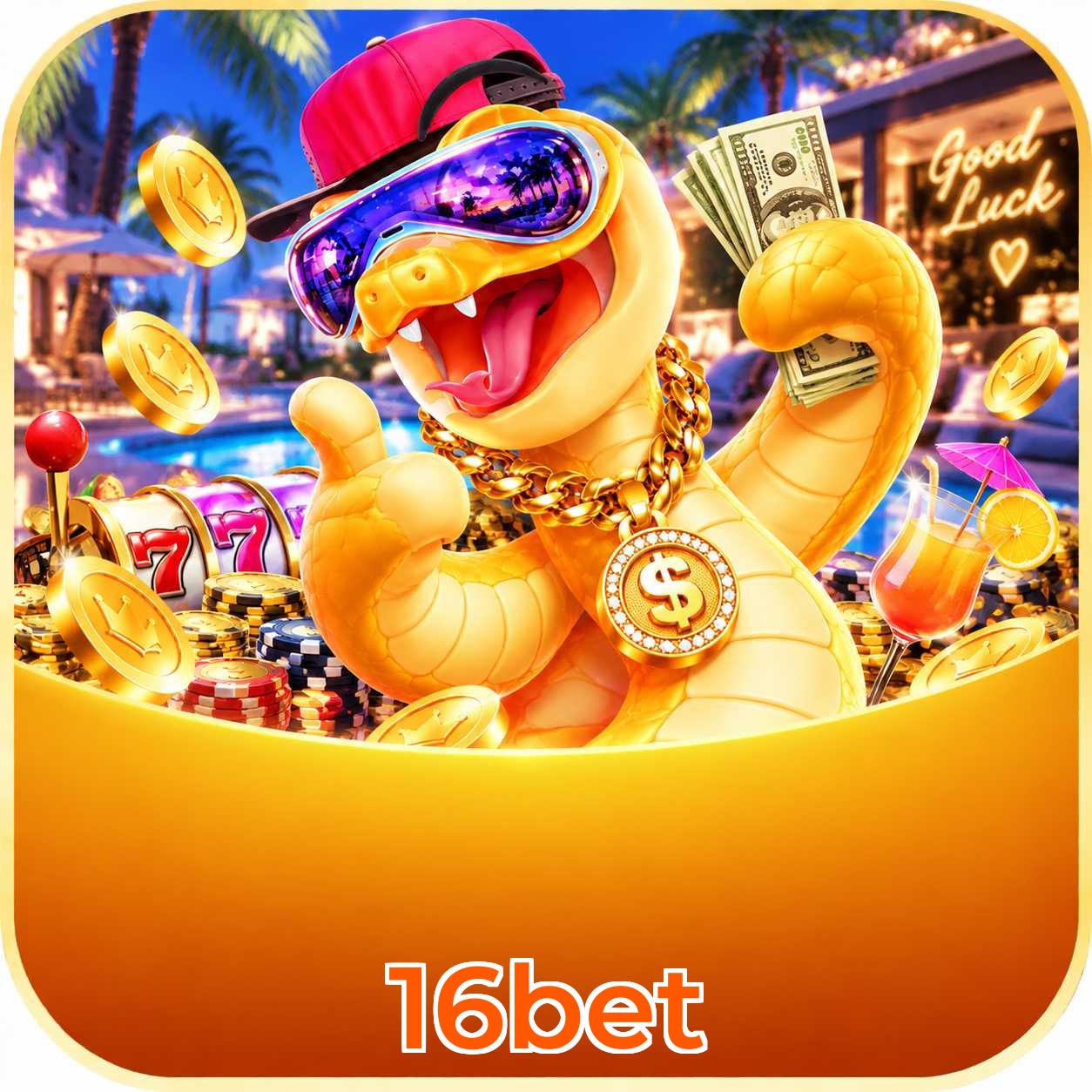 16bet Live Casino Overview